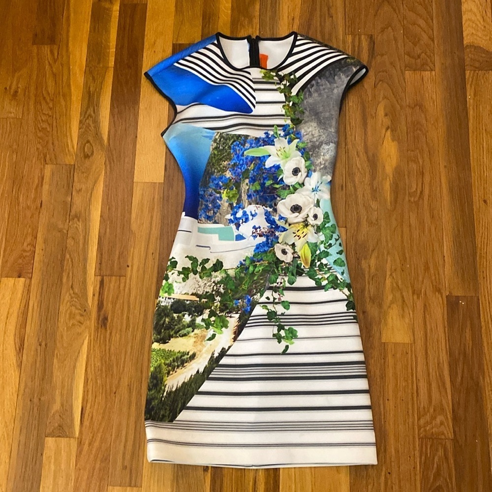 Clover Canyon Blue Printed Floral Greek Island Dress Size XS